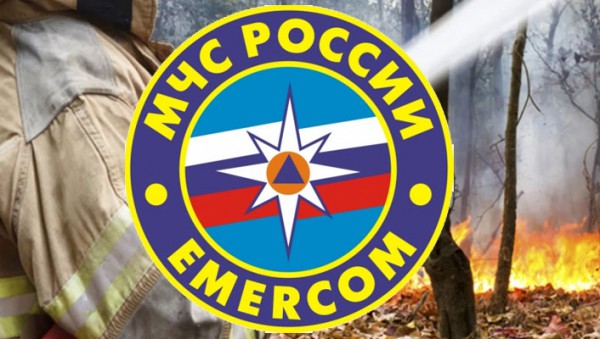 В Ярославской области введен особый противопожарный режим